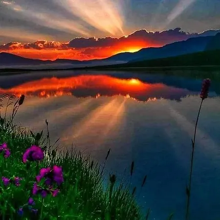 Семеен Комплекс Крисбо