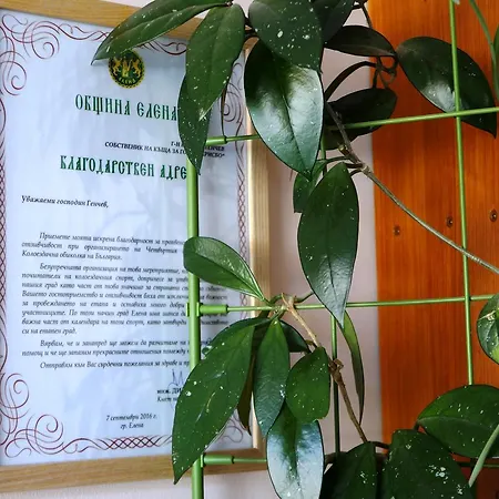 Семеен Комплекс Крисбо Donkovtsi